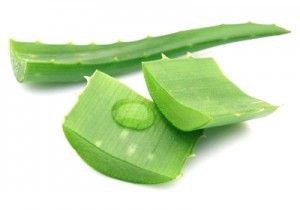 Aloevera